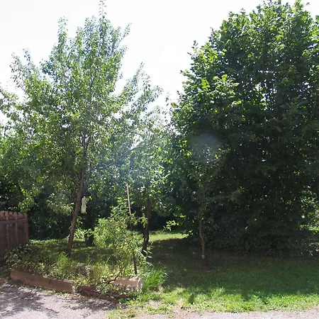 Al Viandante Casa Rosa * Ponte nellʼAlpi