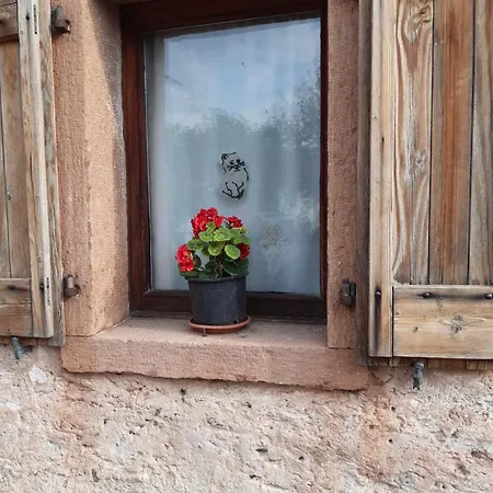 Al Viandante Casa Rosa 別荘 Ponte nellʼAlpi